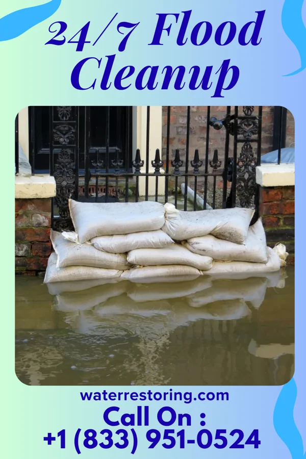 24/7 Flood Cleanup in Greensboro, GA
