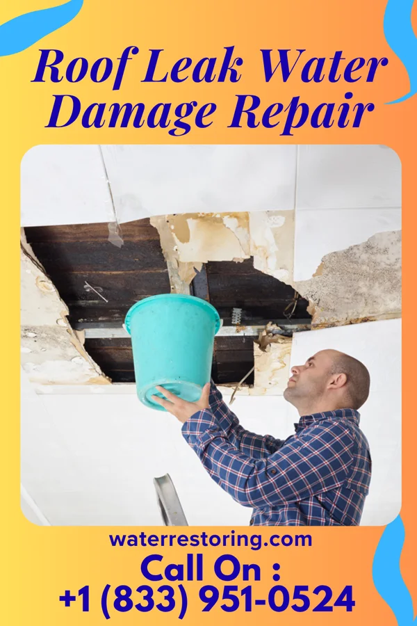 Roof Leak Water Damage Repair in Greensboro, GA