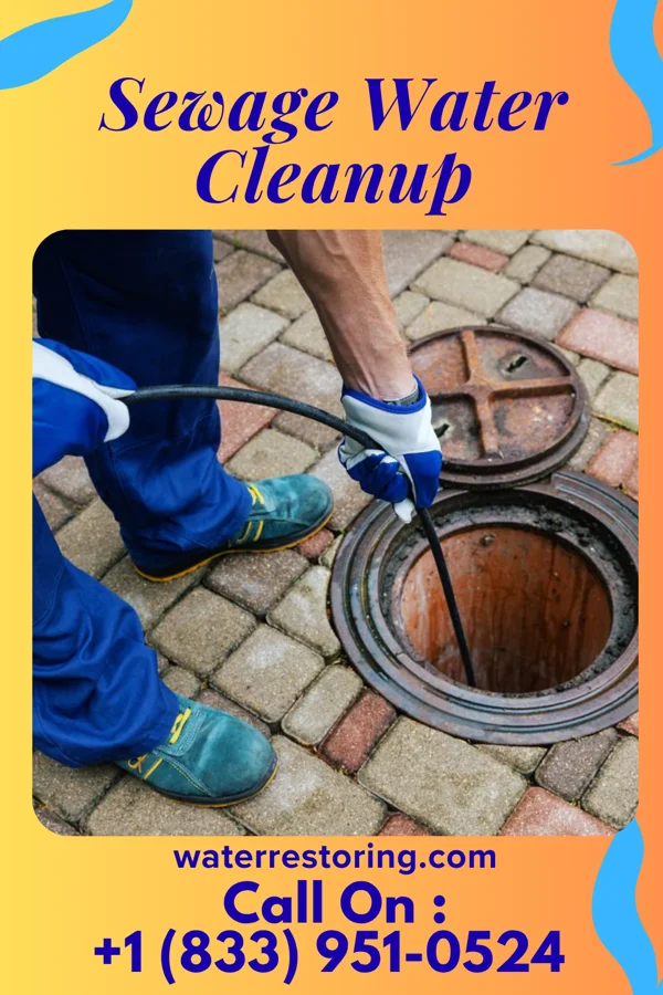 Sewage Water Cleanup in Greensboro, GA